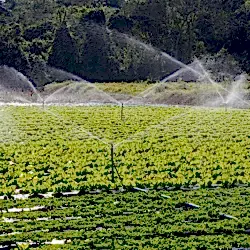 tarım ve agro peyzaj uygulamaları