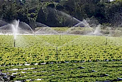 tarım ve agro peyzaj uygulamaları