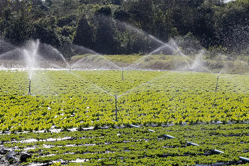 tarım ve agro peyzaj uygulamaları